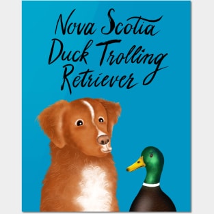Nova Scotia Duck Trolling Retriever Posters and Art